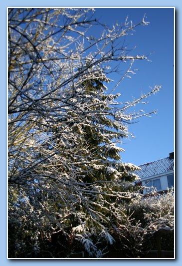Arnhem Snow 001